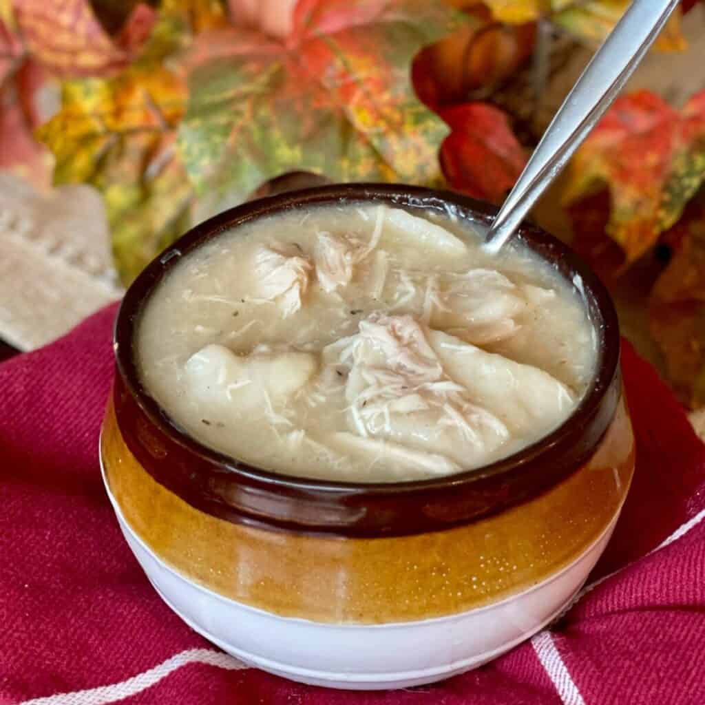 A bowl of chicken and dumplings.