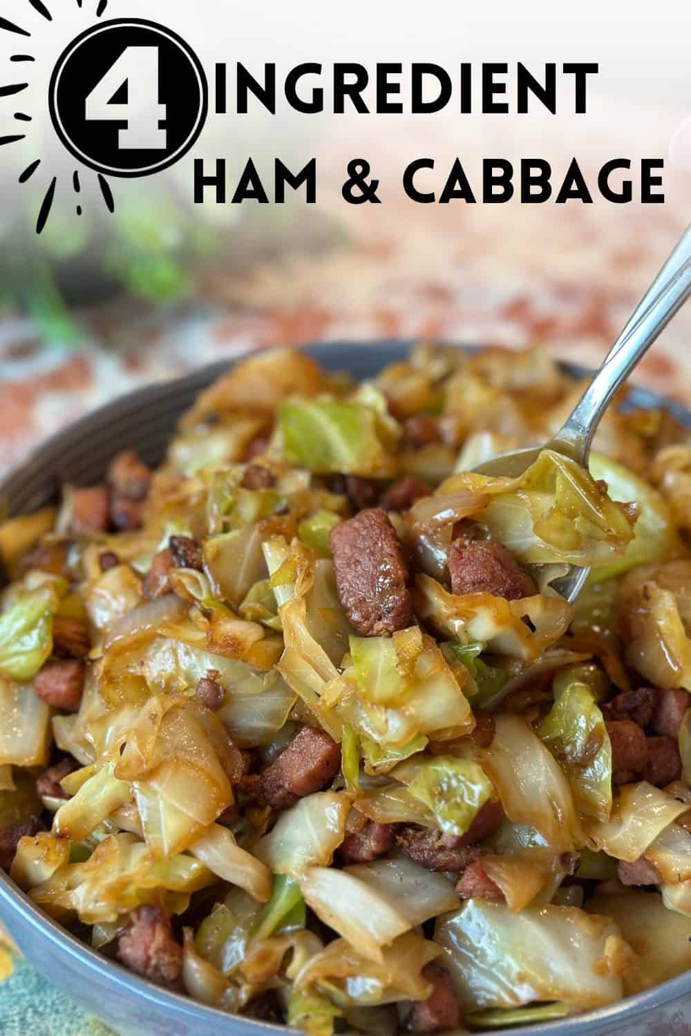 Ham and Cabbage - Dinner in 321