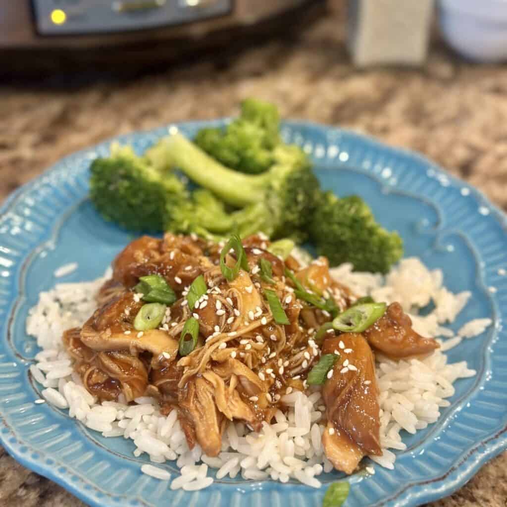 A plate of honey garlic chicken and broccoli.