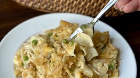 Tuna noodle casserole on a plate.