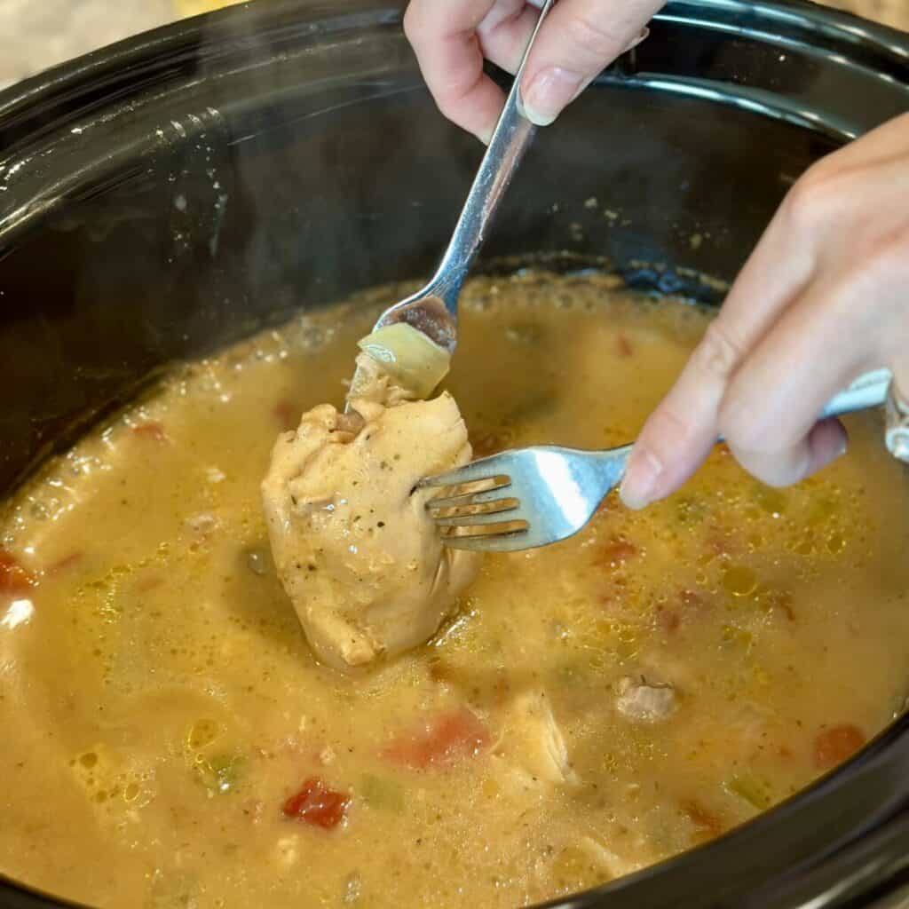 Shredding chicken in a sauce in a crockpot.