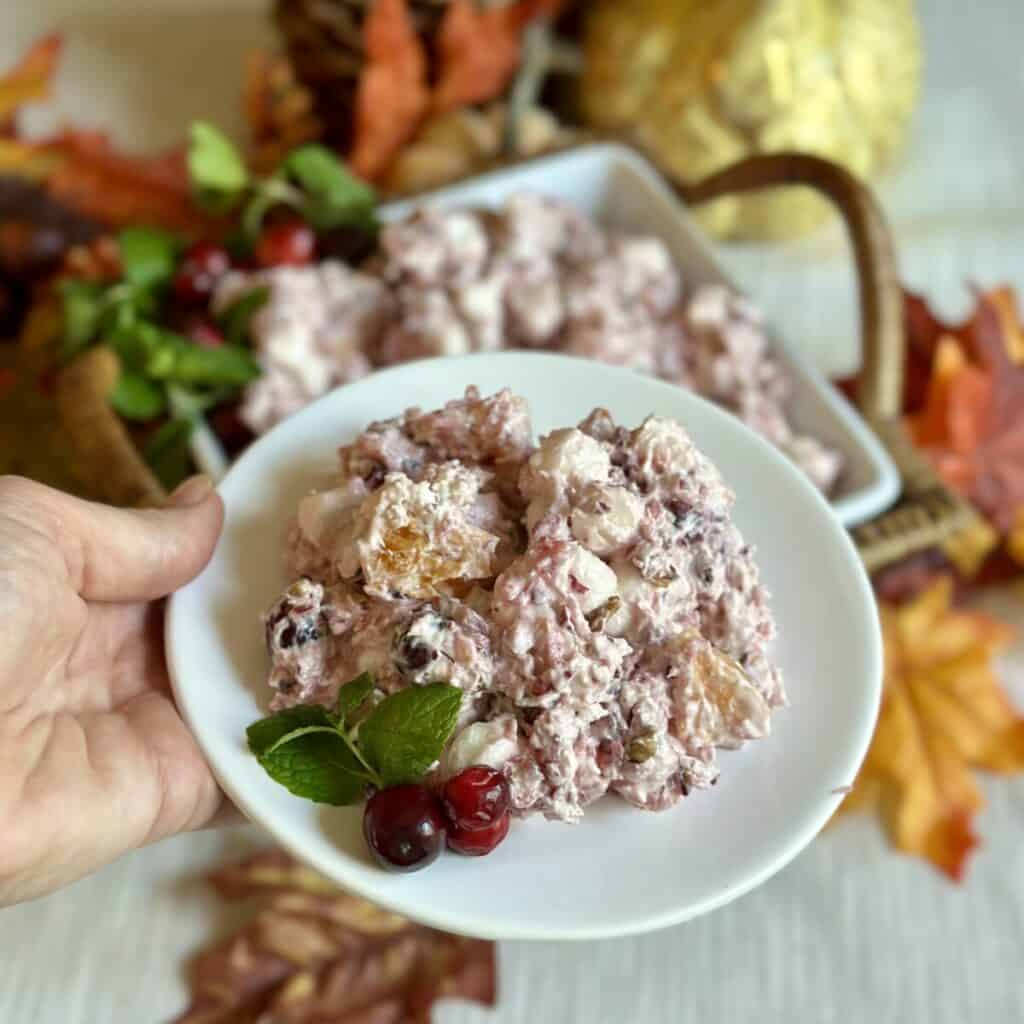 A saucer with Cranberry fluff salad on top.