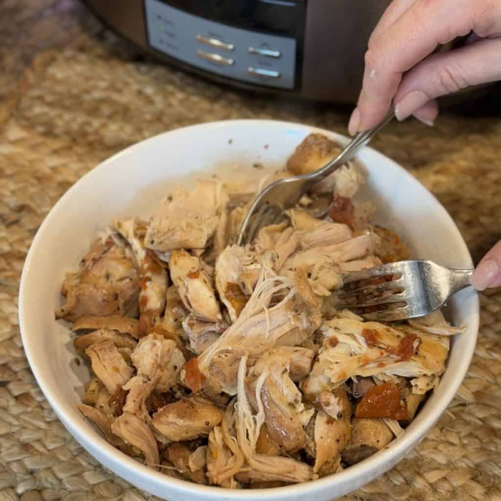 shredding cooked chicken in a bowl.